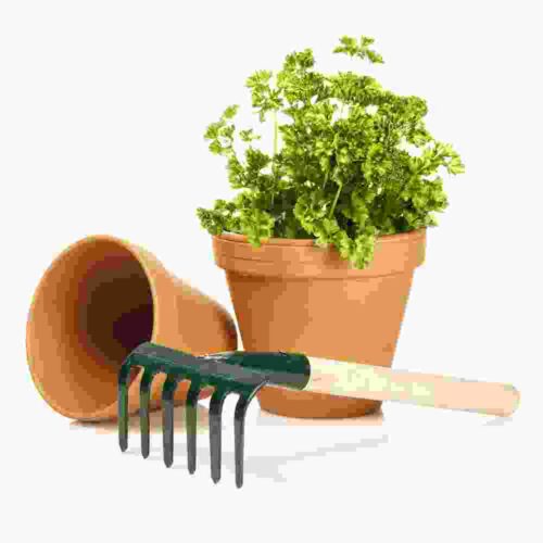 6 Teeth Rake with Gardening Pots