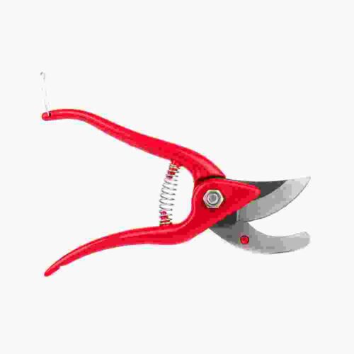 Garden Scissors